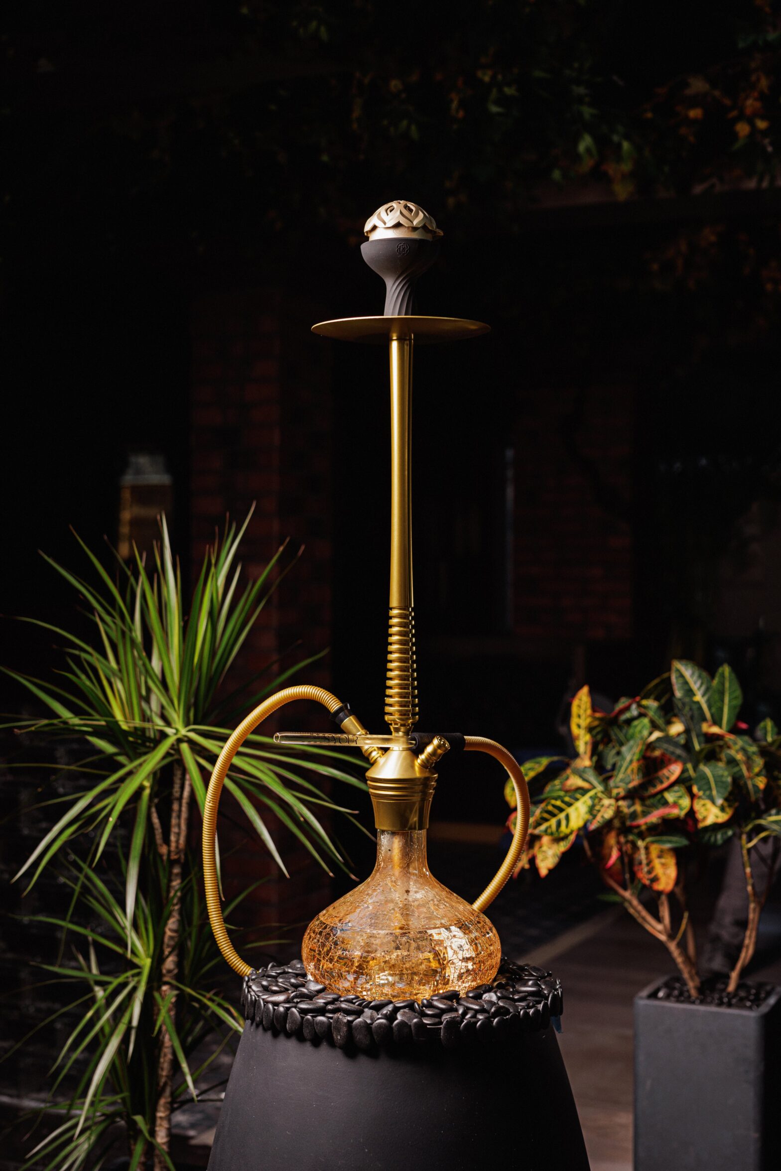 best shisha