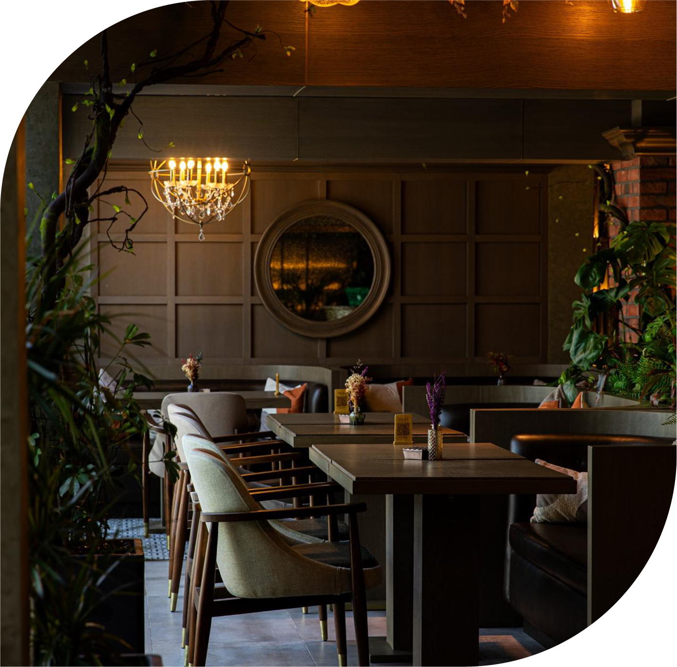 Shisha lounge in Dubai and restaurant in Jumeirah - SAVOUR interior