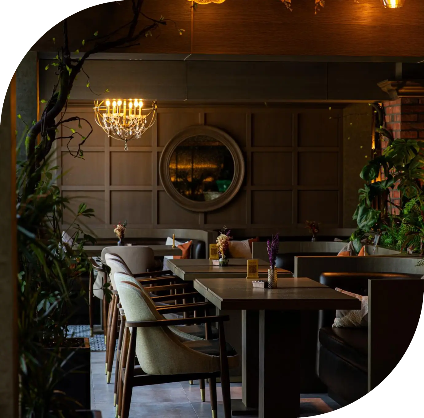 Shisha lounge in Dubai and restaurant in Jumeirah - SAVOUR interior